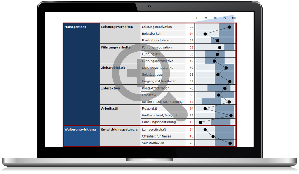 Potenzialanalyse für Management und Führungskräfte
