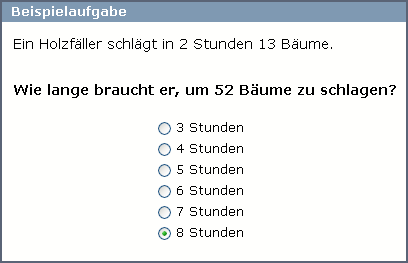 Mathematisches Verständnis